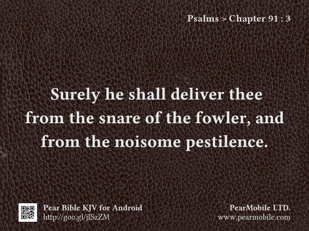 Psalms, Chapter 91:3